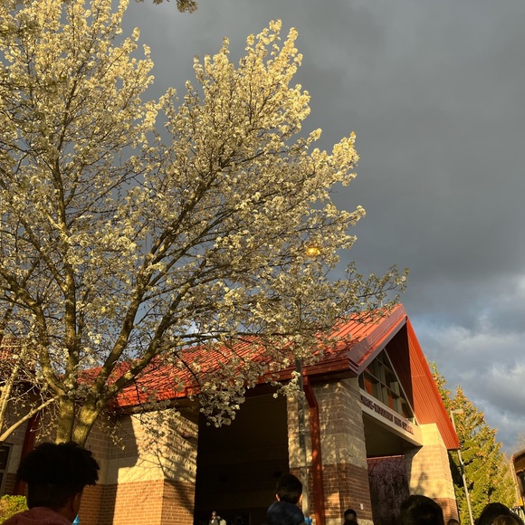 Meet your Posher, Yana - Picture 1 of 1